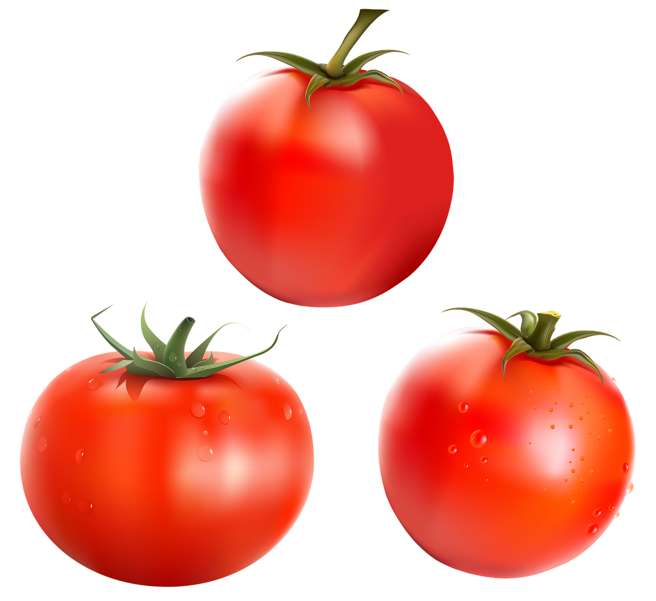 tochitura de porc cu sos de rosii