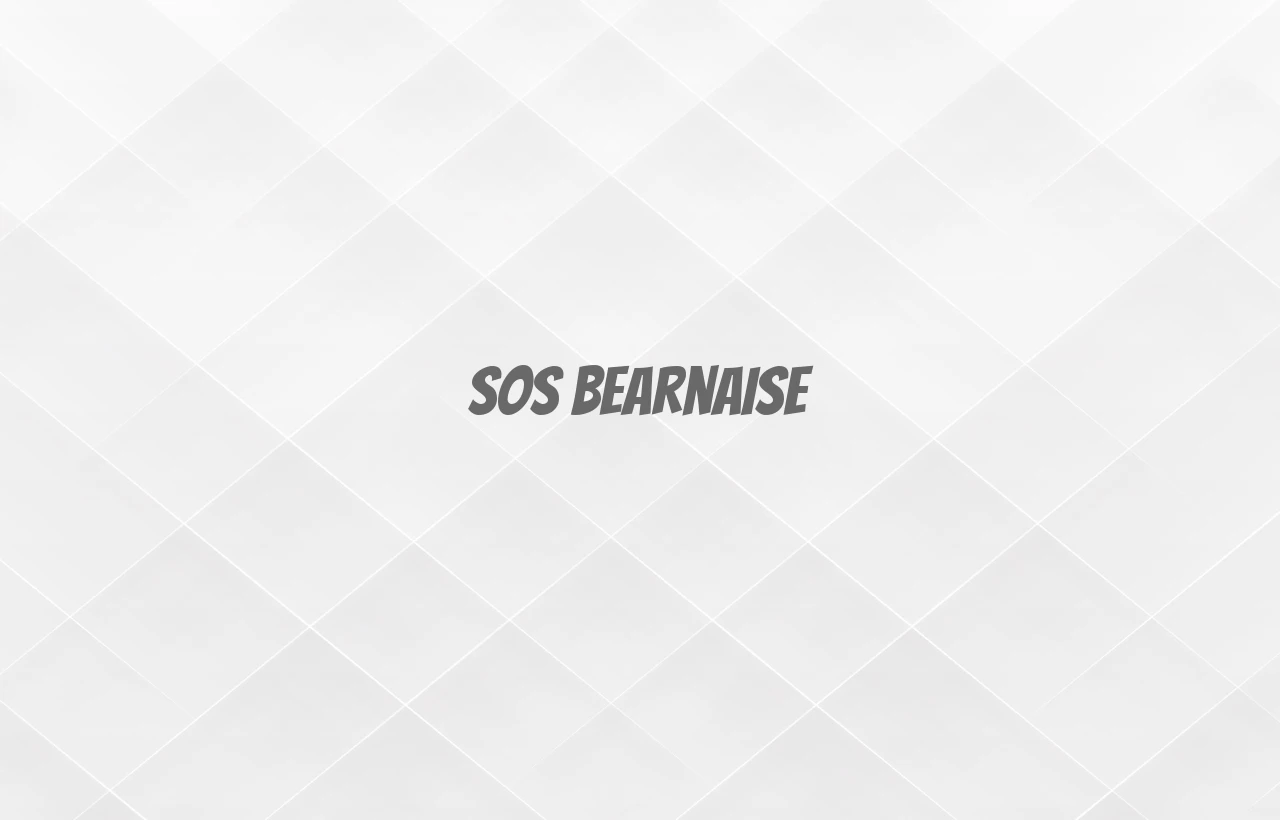 sos bearnaise