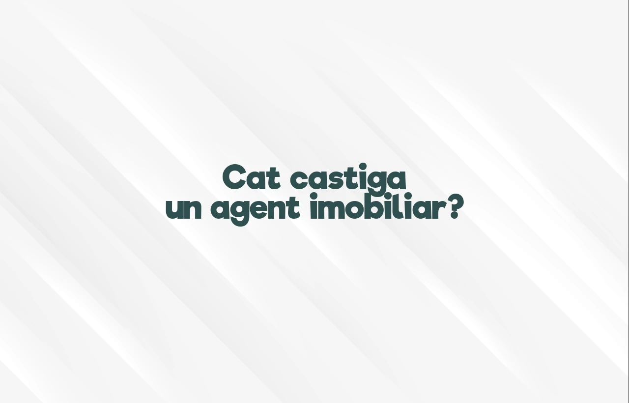 cat castiga un agent imobiliar