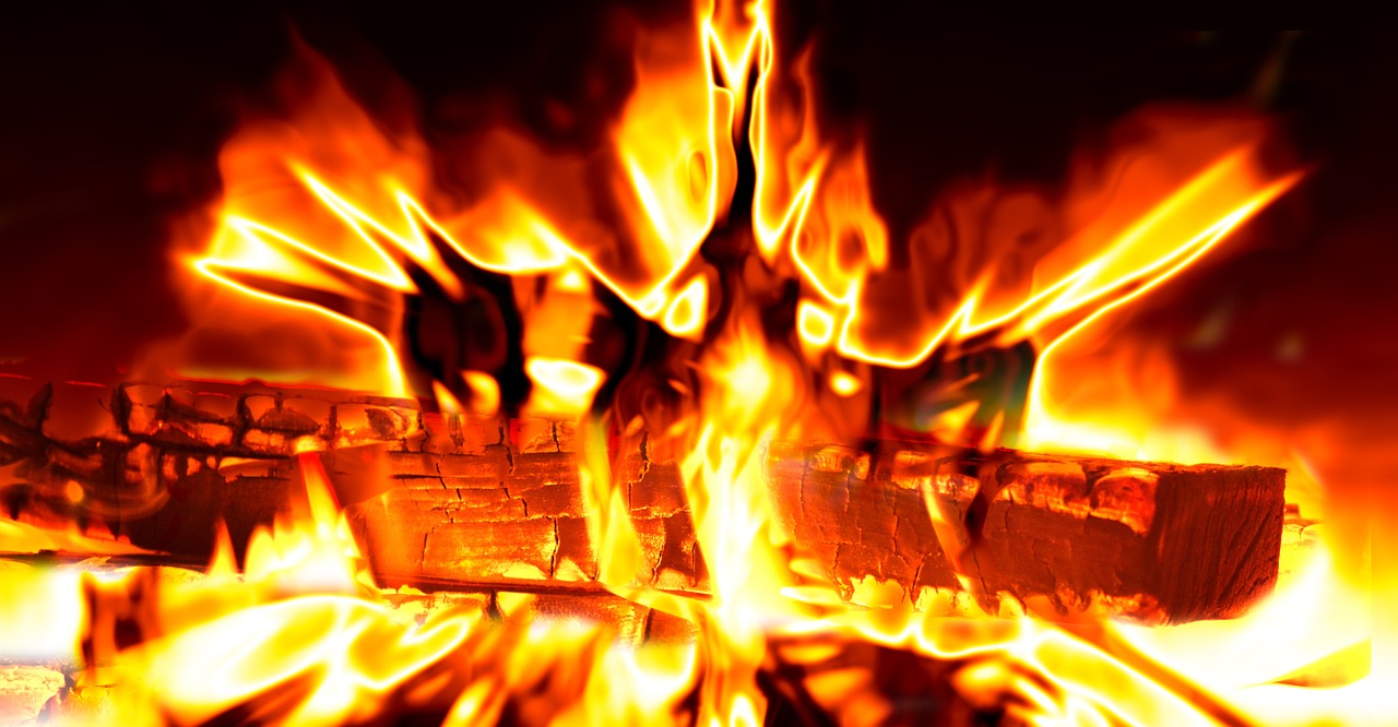 pana la ce temperatura rezista muscatele afara