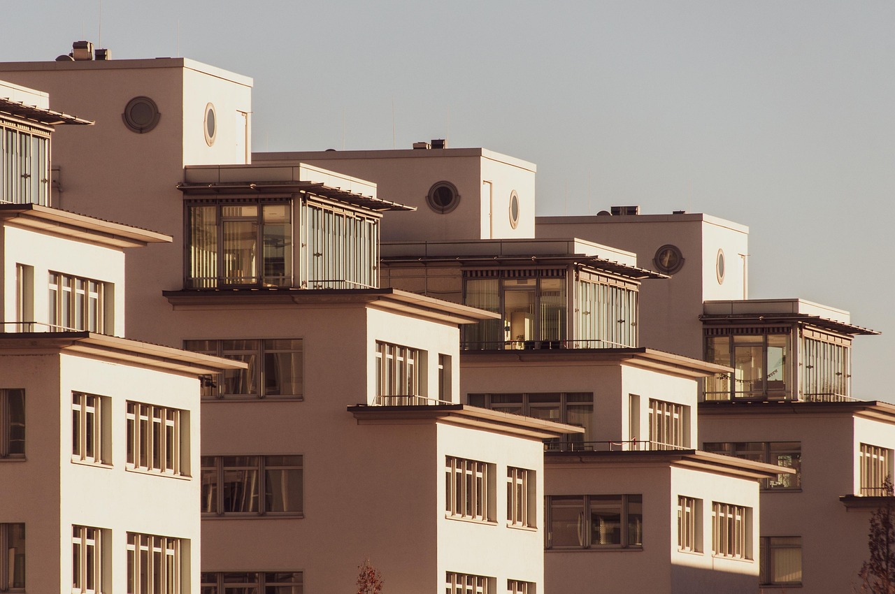 piata imobiliara timisoara