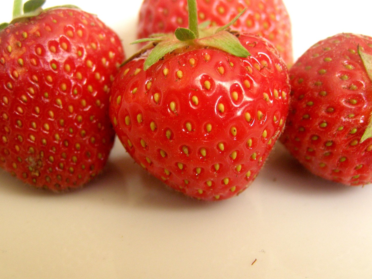 cultivarea capsunilor